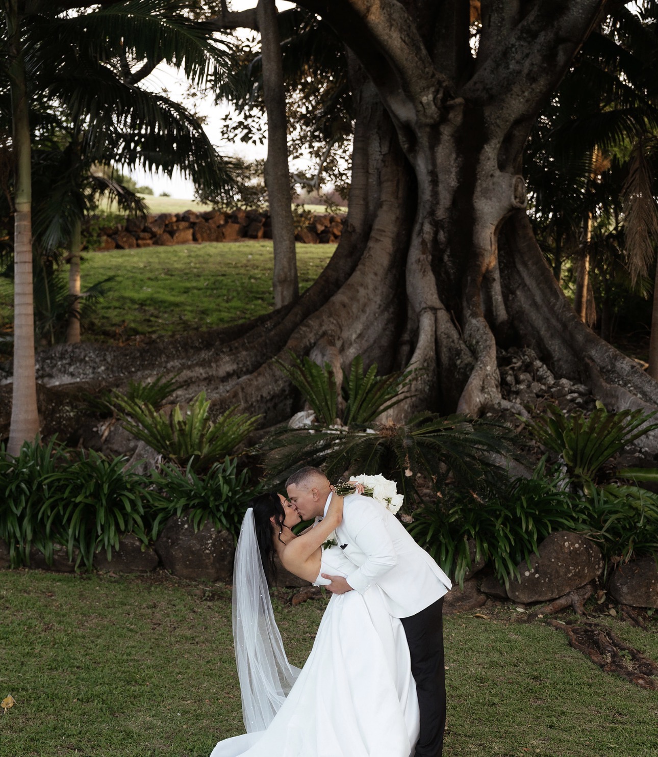 Romantic dip kiss under the fig tree